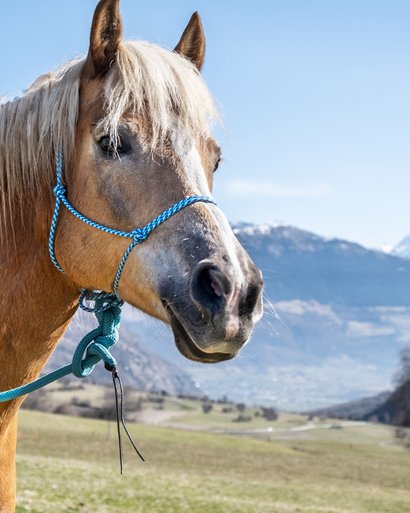 Deine VorteilsZeit-Karte: radikal geniale Ermäßigungen